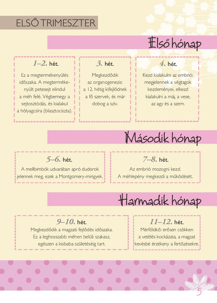 Napraforgó Napló a babavárás 9 hónapjáról